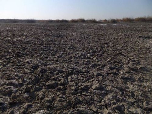 ���ɹ�һ�ض���f����������Ⱦ