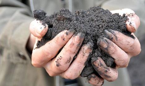 ���ϳ����ؽ�����Ⱦ����