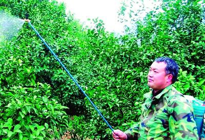 ʮ�˴�����Z�|����������(chu��ng)�I(y��)�Jδ��