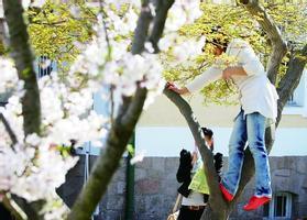 �ÿ�ª��(x��)�Գ�Ҋ