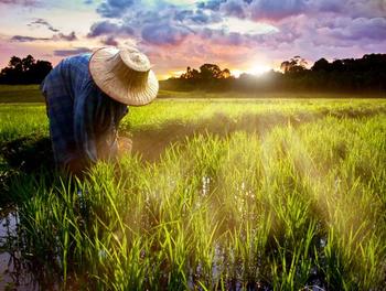 �x���r(n��ng)�����ؔ(c��i)�a(ch��n)��(qu��n)��