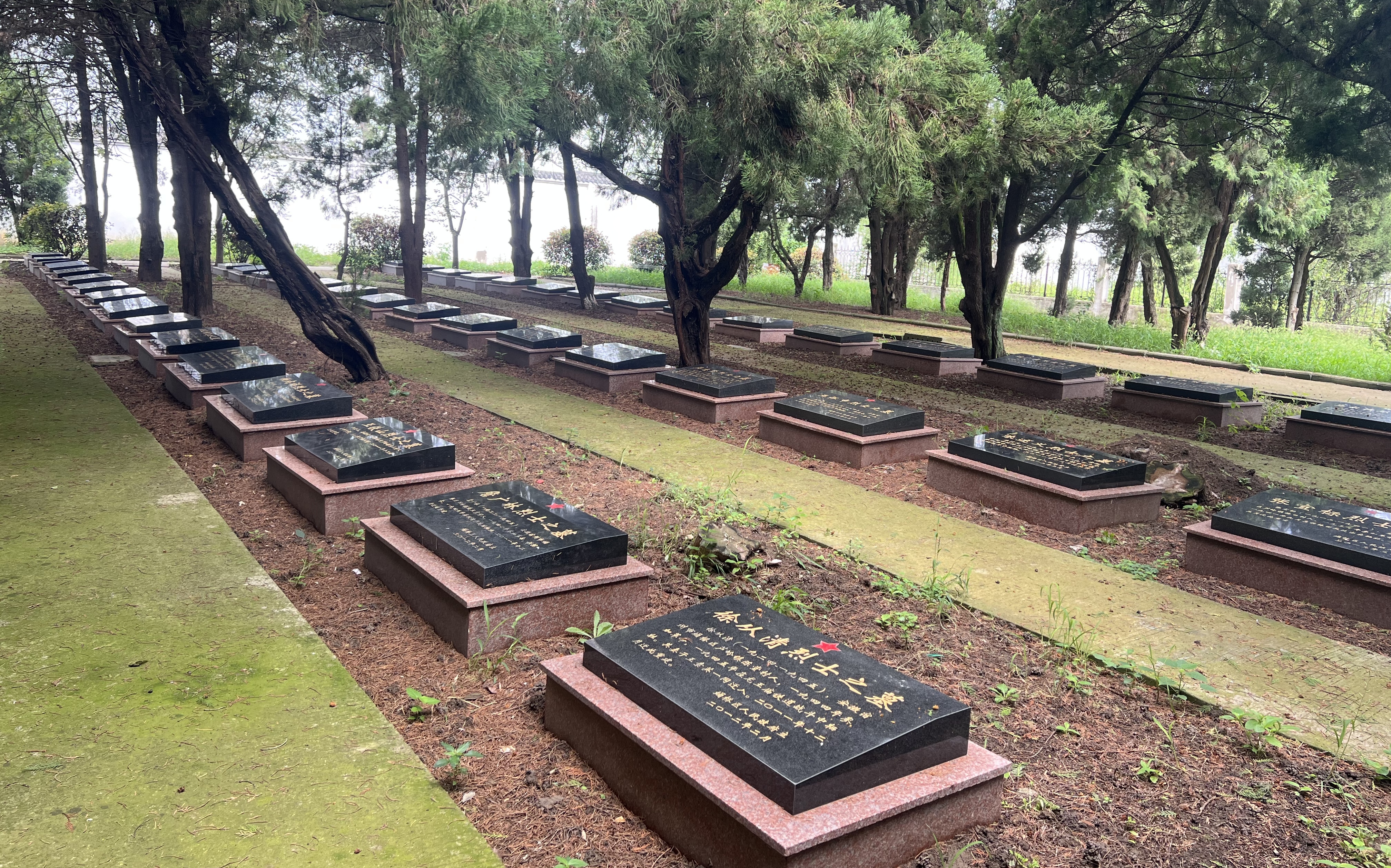 һ�Z�����������˟o�����o(h��)