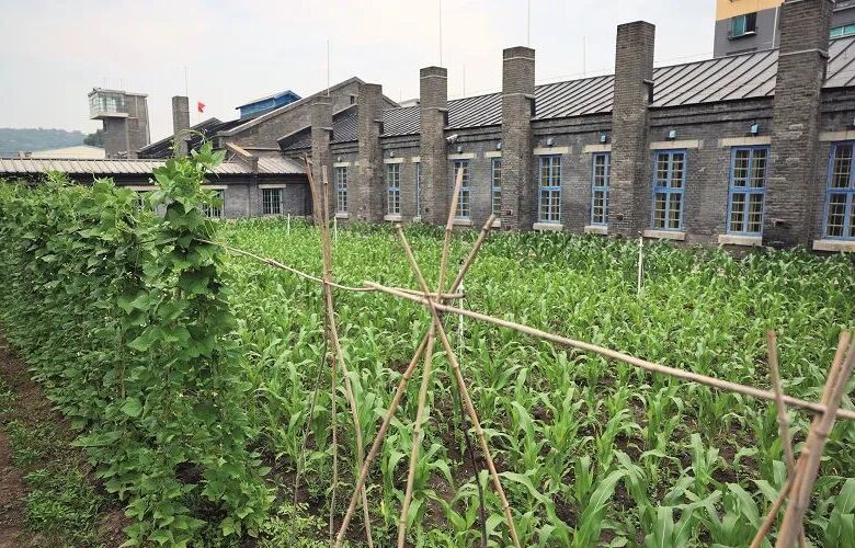 �����(zh��n)���� һ��ʷ�oǰ���ġ��`��֮��(zh��n)�������V�ձ���(zh��n)���؄e�����