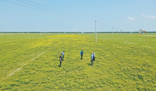 吉林乾安:檢察建議形成多方合力